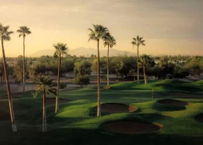 Cozy Cactus, Pool And Games Near Stadium And Golf *